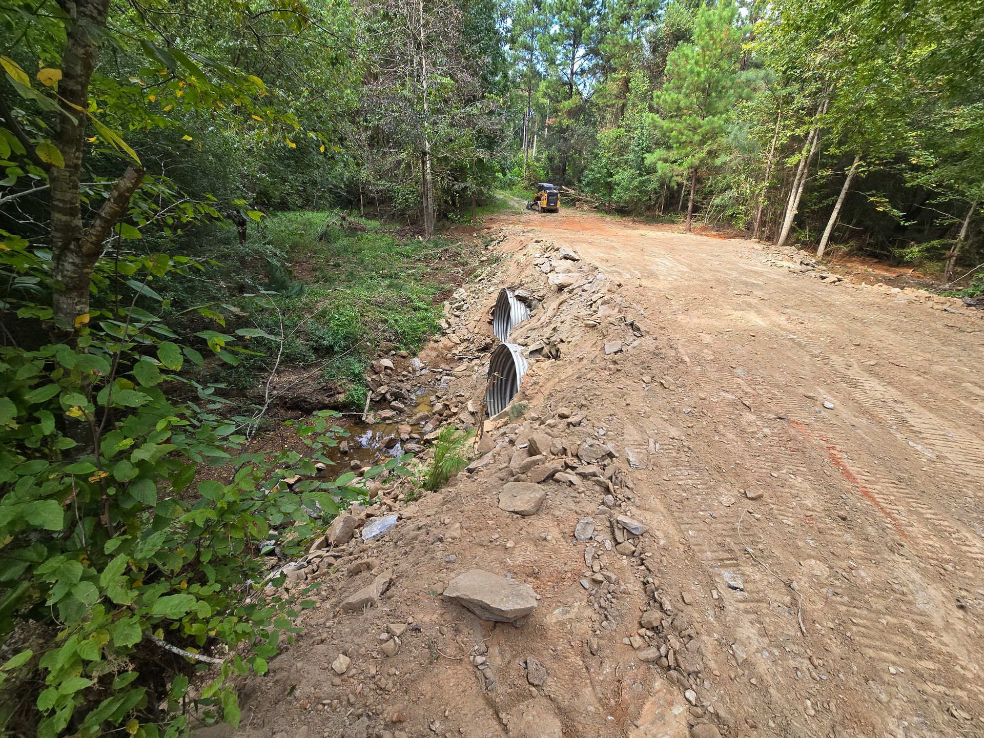 Dirt road curving through a lush green forest, with a small black-and-white dog on the roadside
