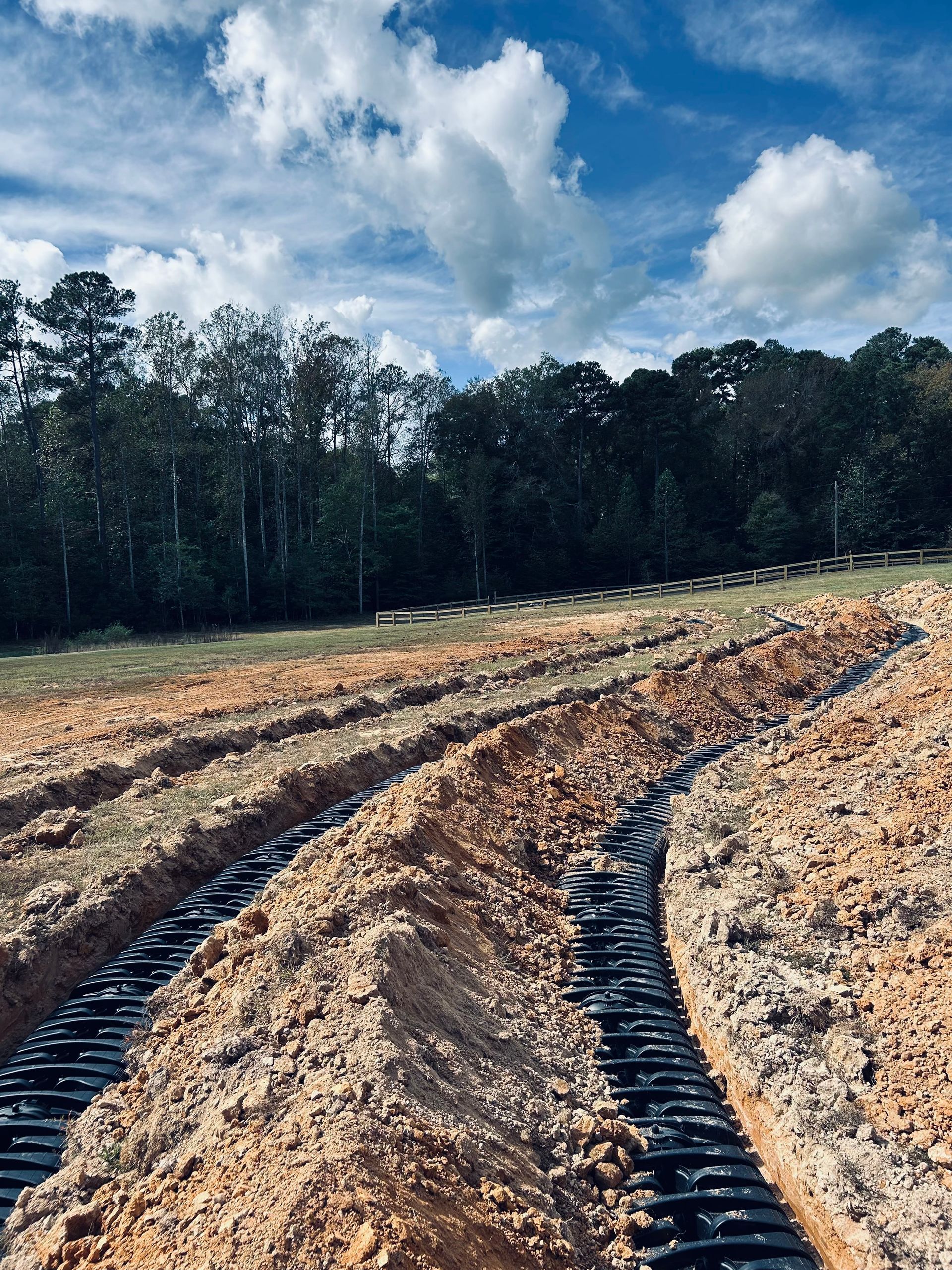 Cleared dirt road curving through a wooded area under a cloudy sky