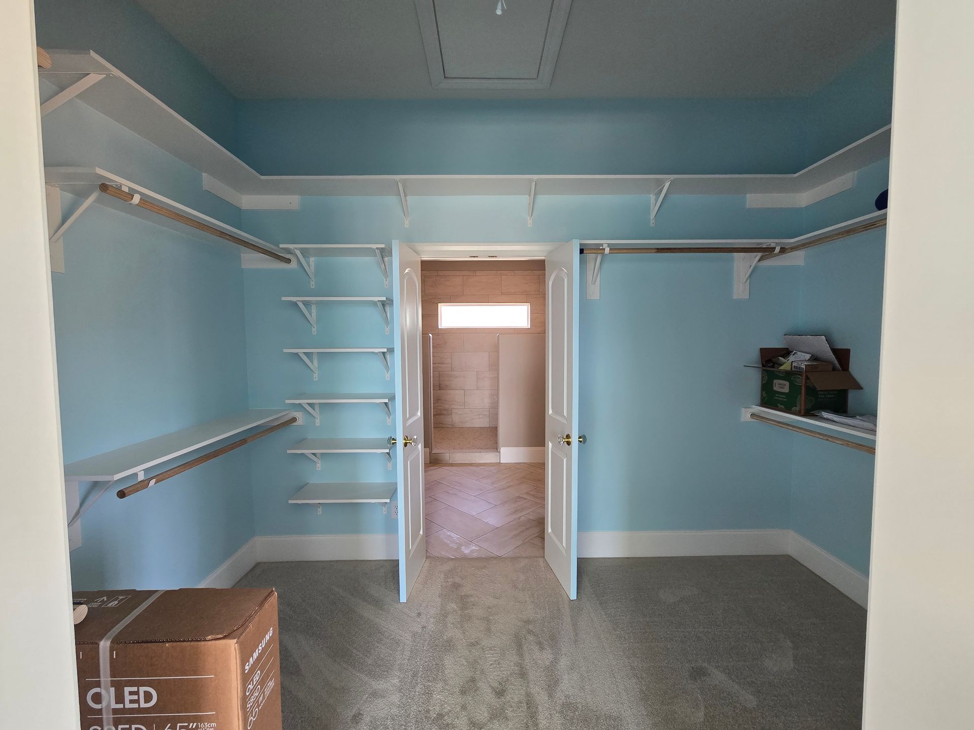 Empty blue walk-in closet with white shelving and gray carpet, viewed toward a doorway.