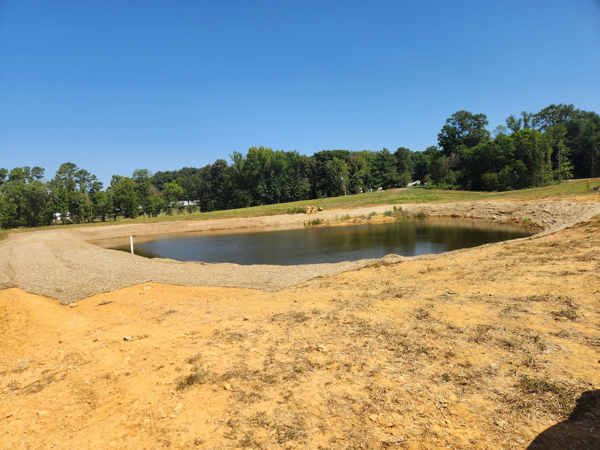 Small pond in a dry, sandy landscape with trees under a clear blue sky