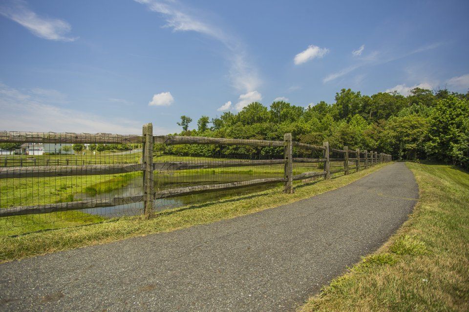 Paved path alongside a wooden fence, grassy field, and trees under a blue sky.