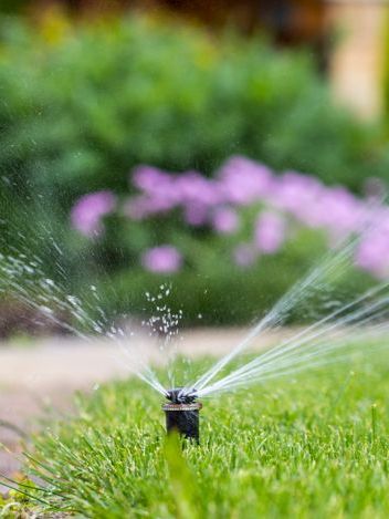 A sprinkler is spraying water on a lush green lawn.