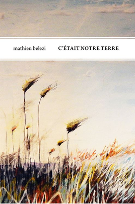 Le livre de Mathieu Belezy