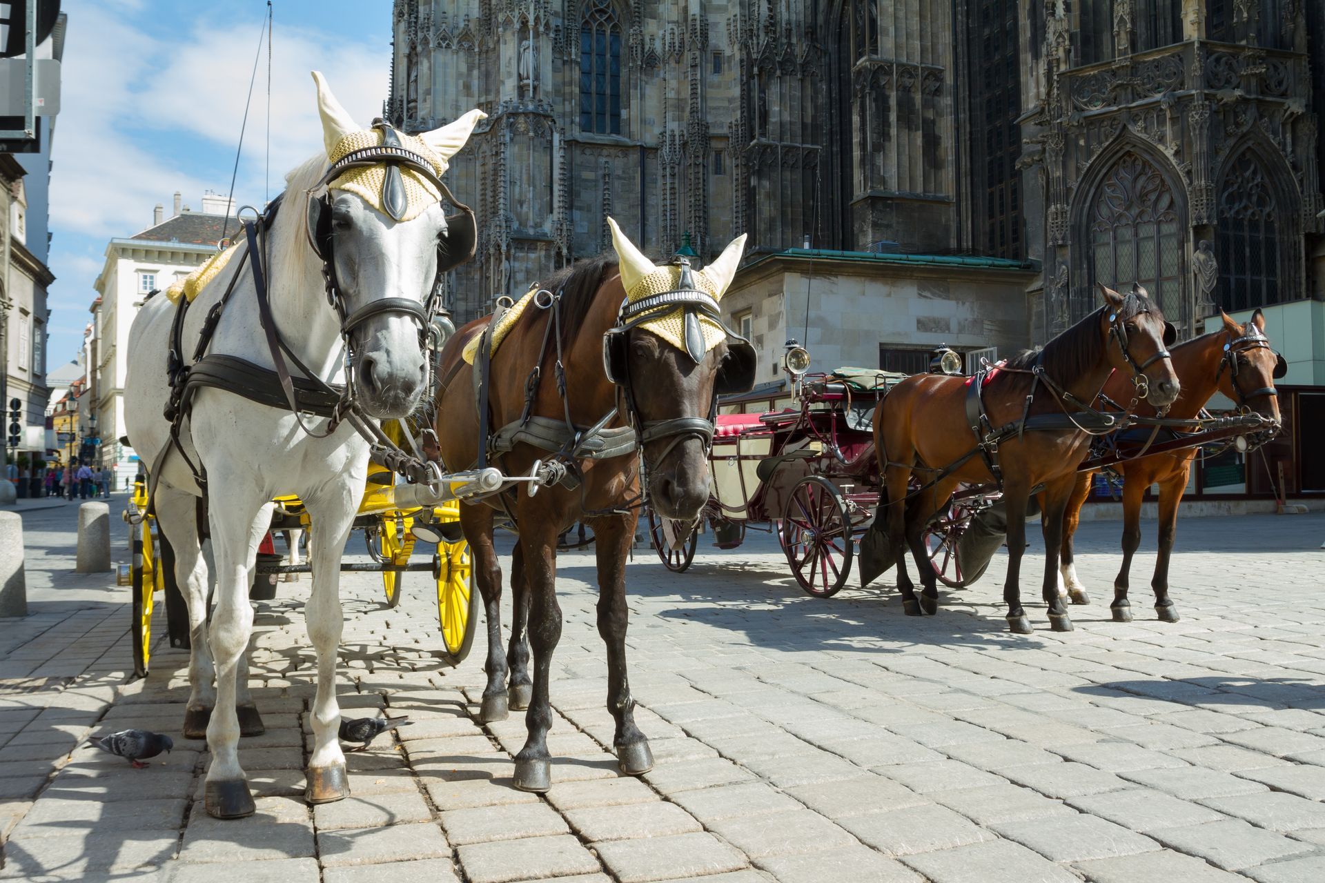 Paarden die koetsen trekken op een geplaveid plein voor een kathedraal.