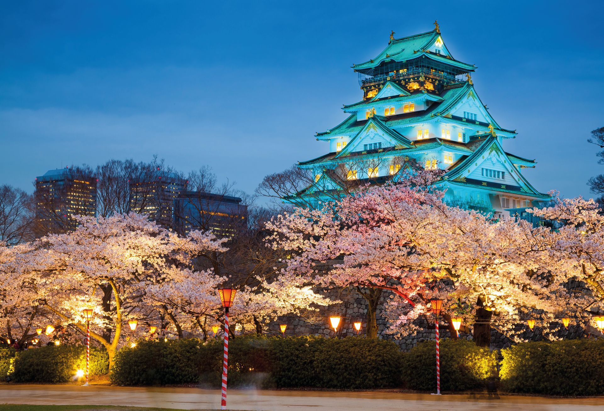 Het kasteel van Osaka is verlicht, met kersenbloesems in volle bloei.