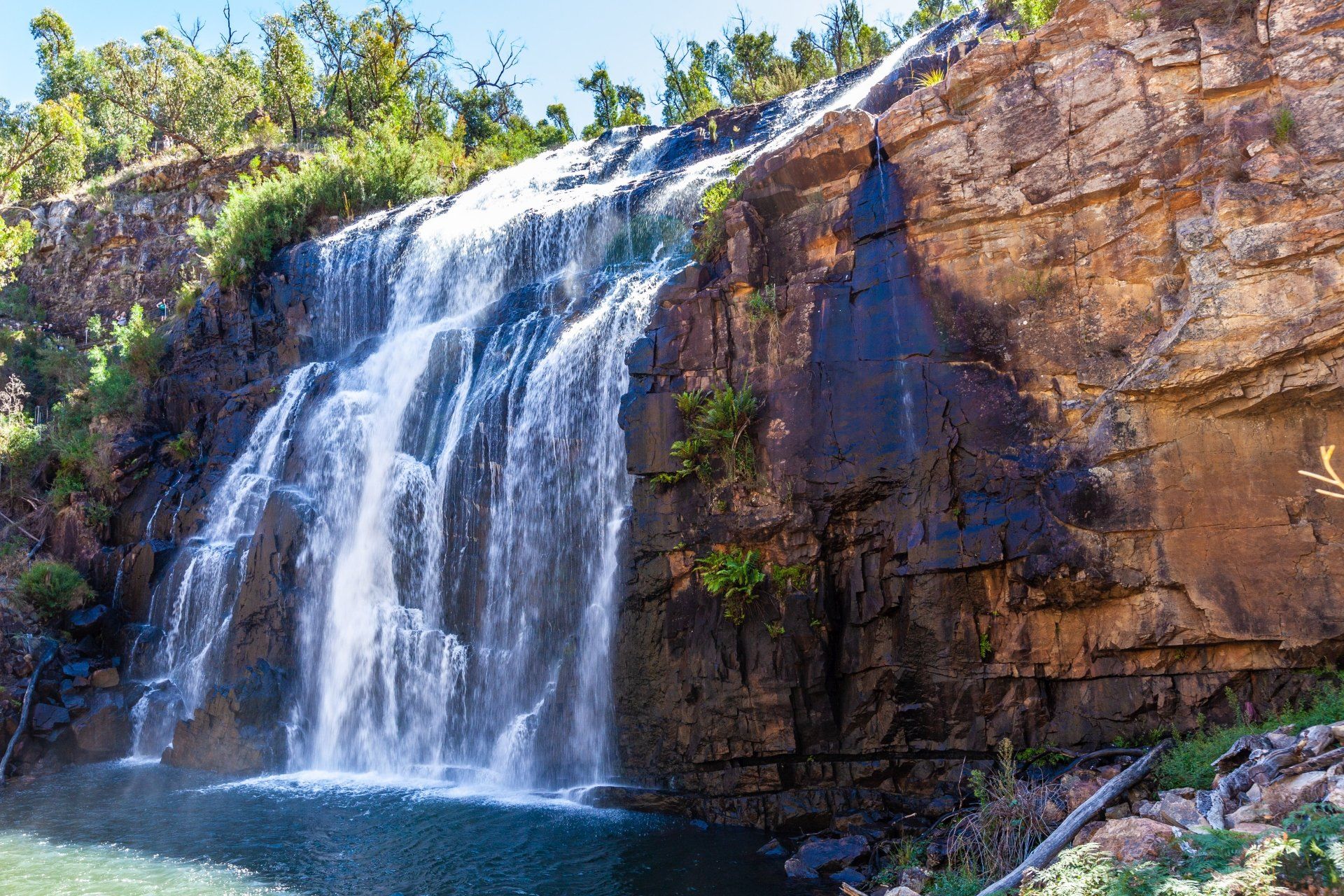 Foto McKenzie falls