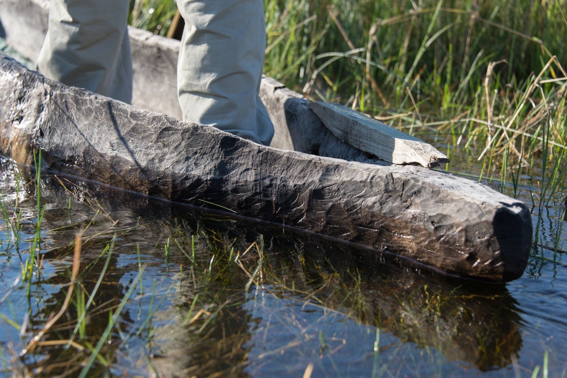 Een persoon staat in een handgemaakte houten kano in ondiep water, omringd door riet.