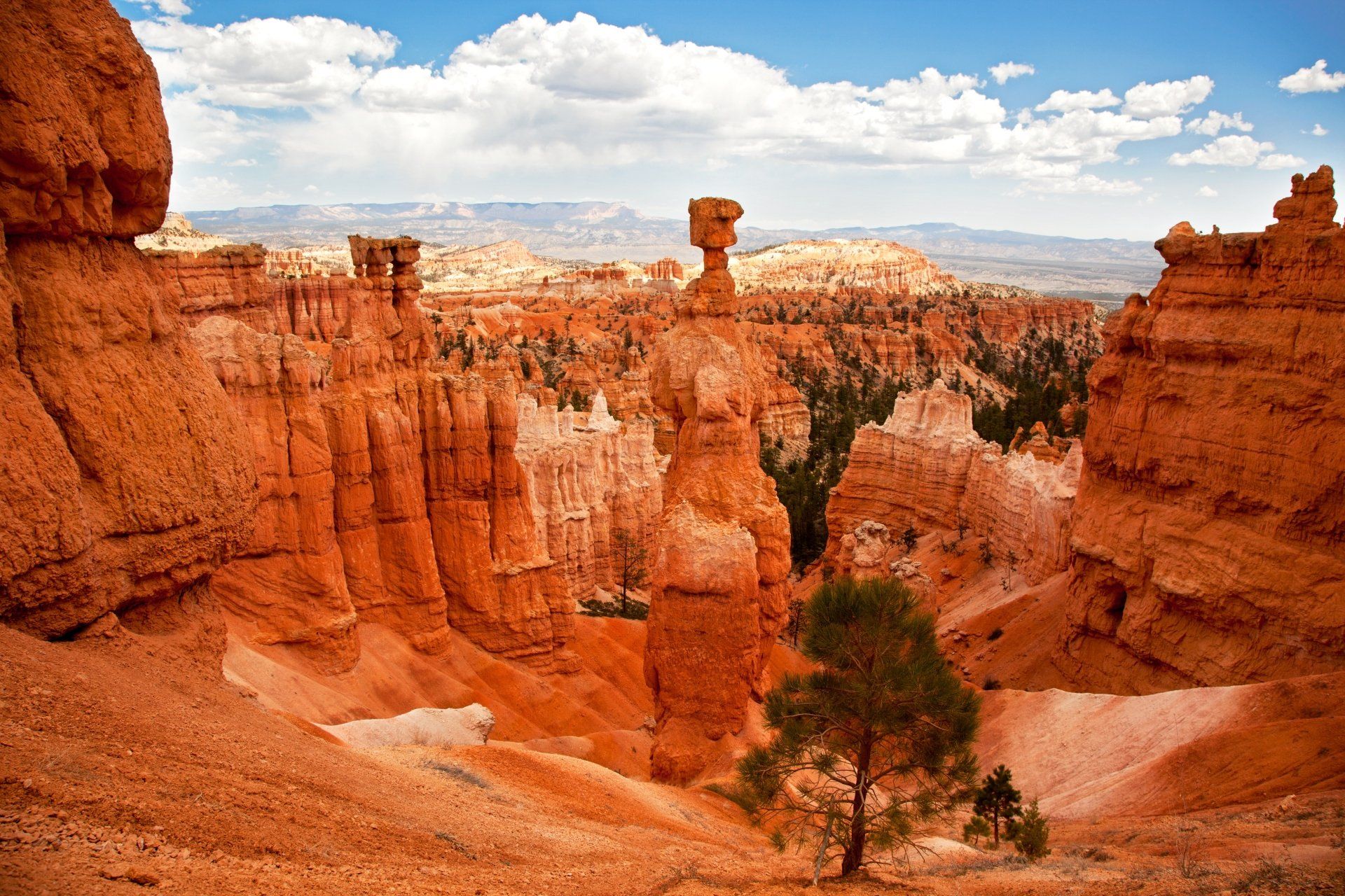 Rode rotsformaties in Bryce Canyon National Park onder een blauwe hemel met wolken.