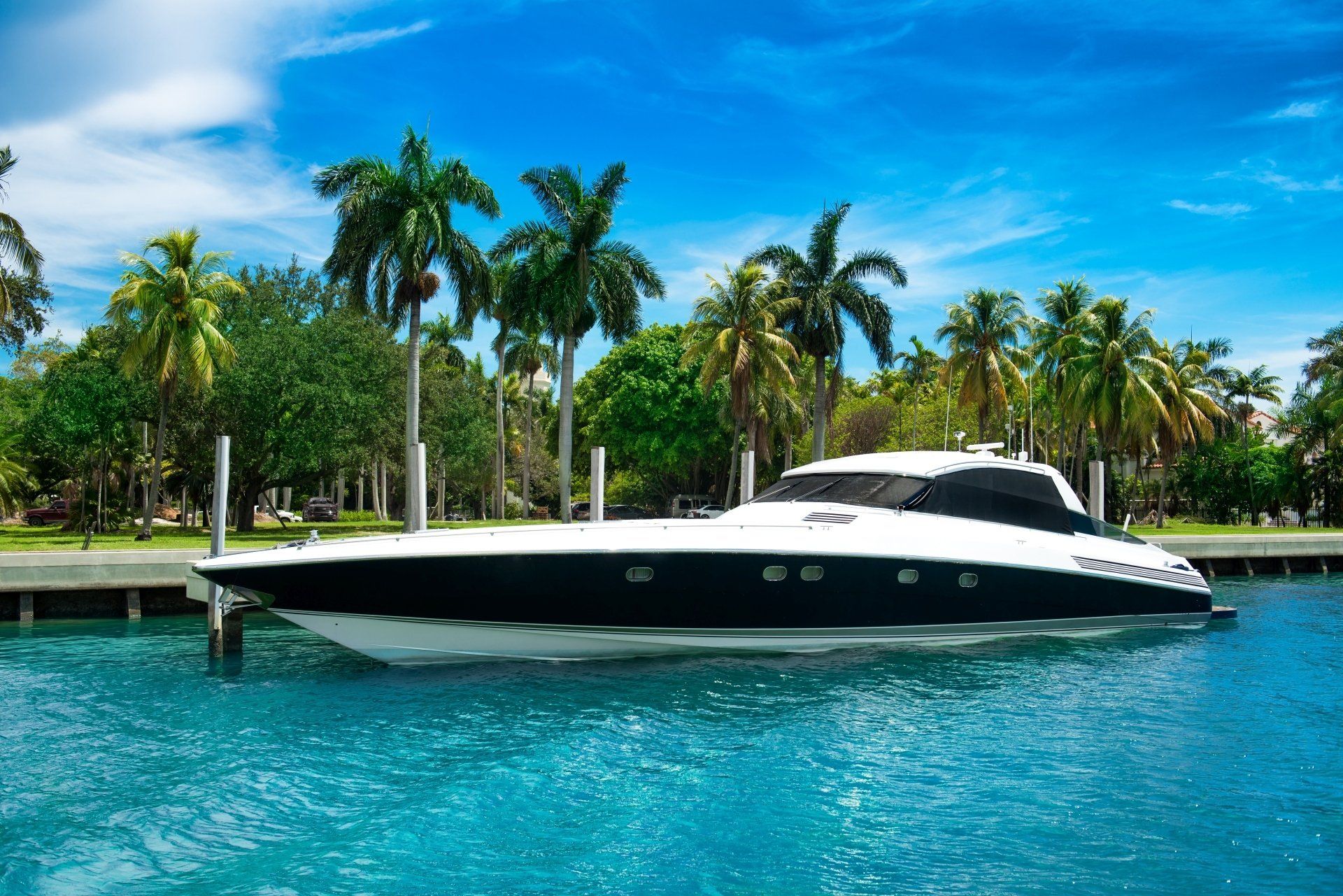 Luxe wit-zwarte boot aangemeerd in een tropische omgeving met palmbomen en blauw water.