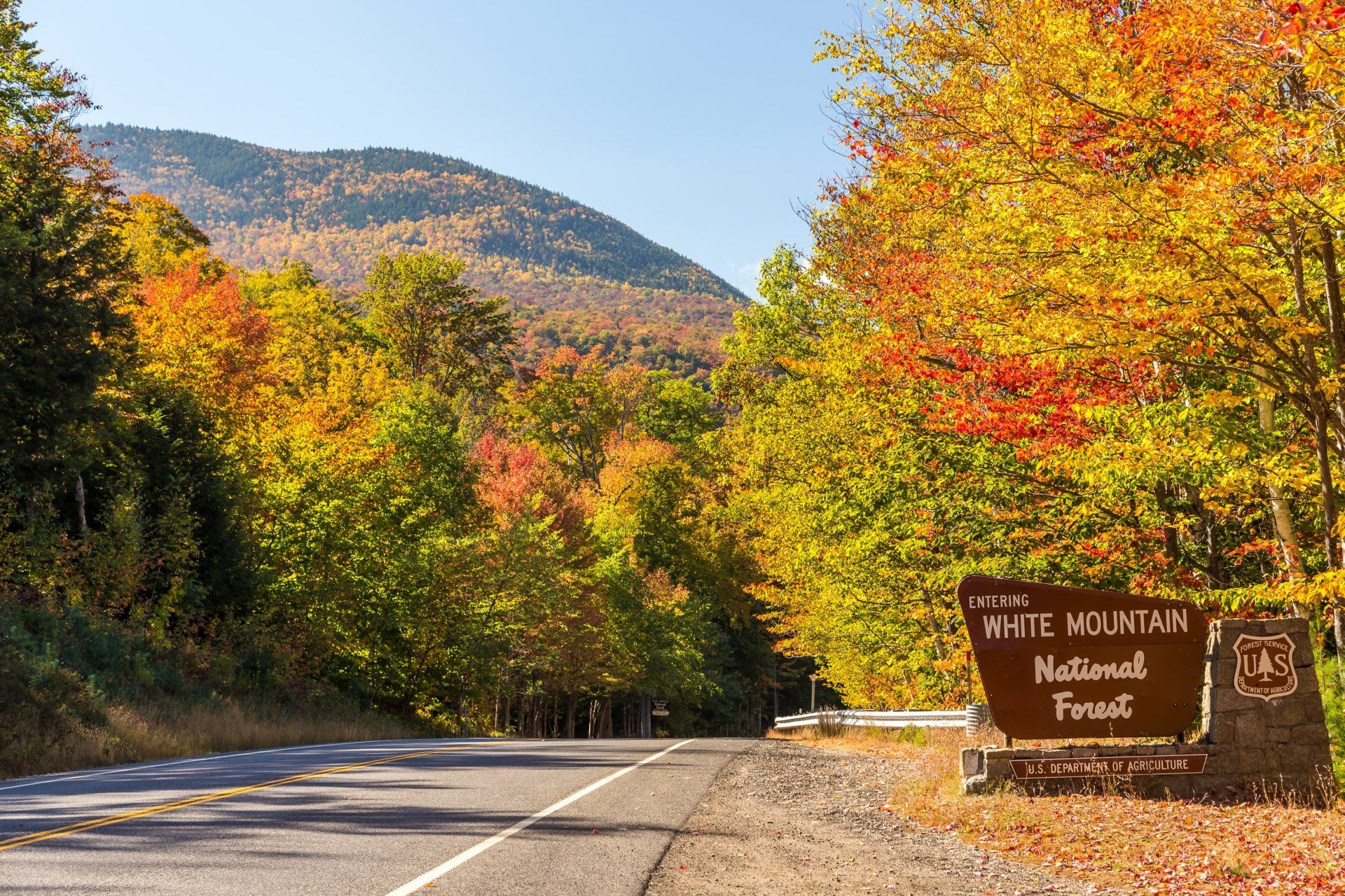 Weg die leidt naar het White Mountain National Forest met kleurrijke herfstbladeren.