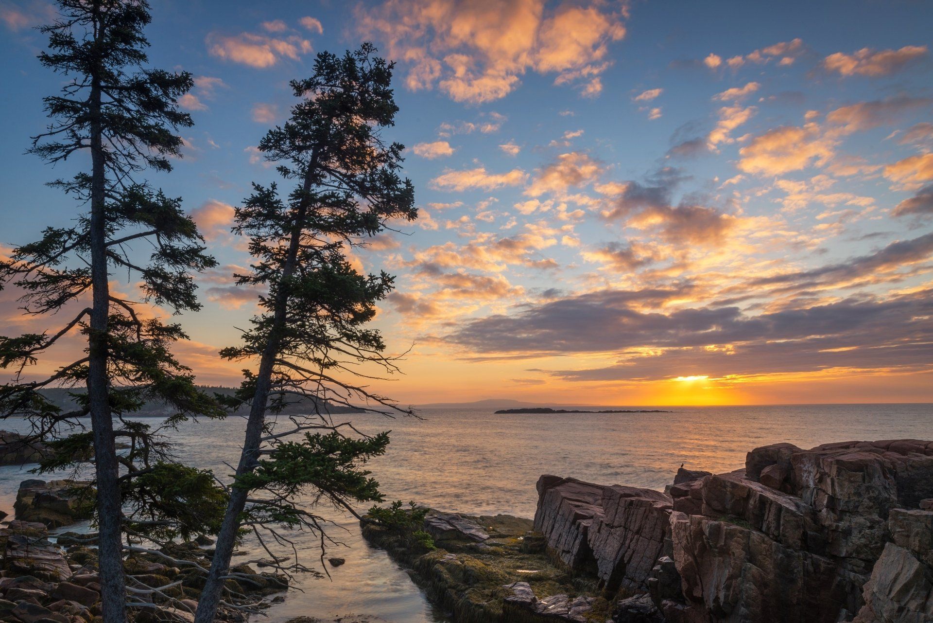 Zonsondergang boven de oceaan, twee bomen in silhouet omlijsten een kleurrijke hemel met wolken, rotsachtige kustlijn op de voorgrond.