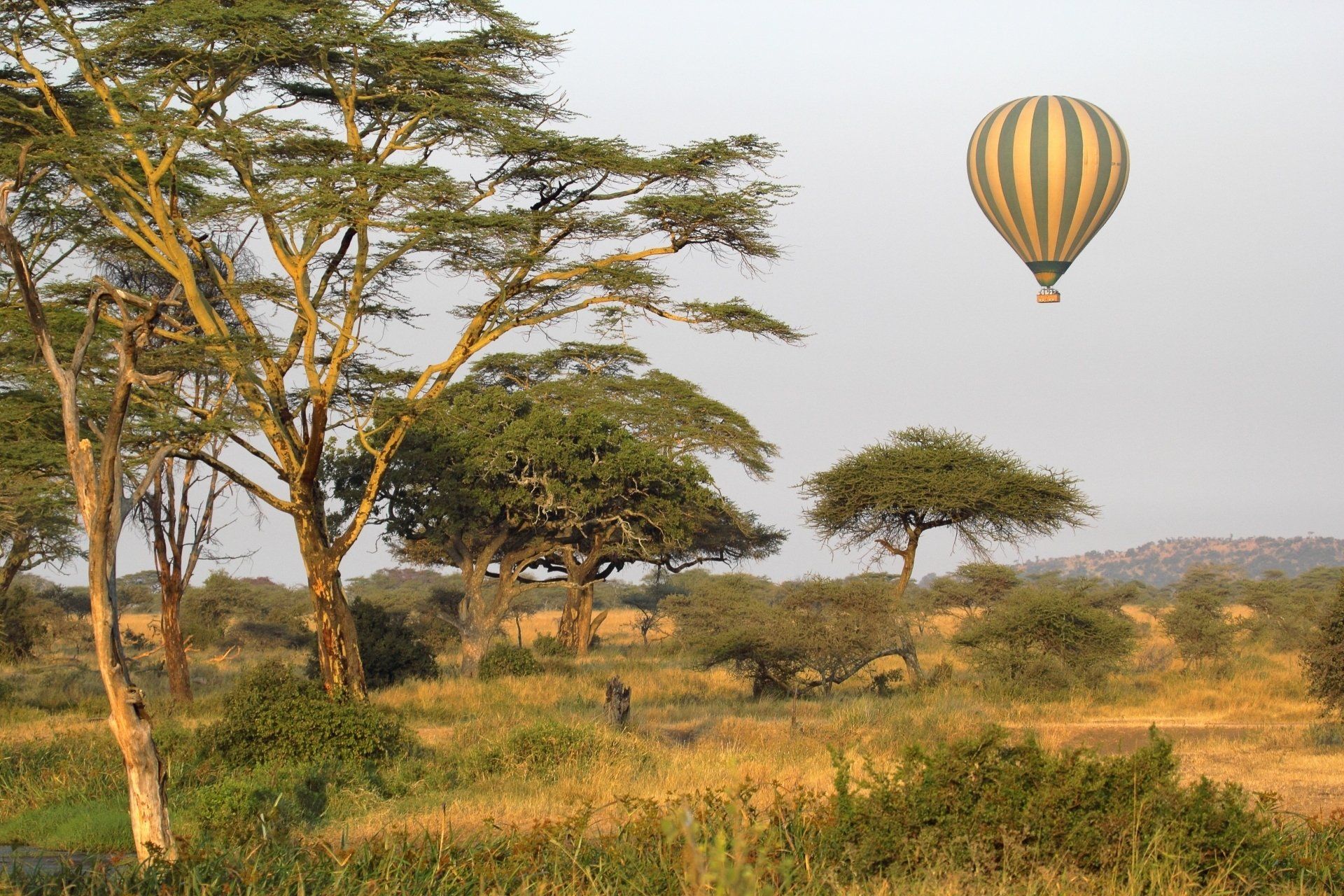 afbeelding ballonvaart in Tanzania