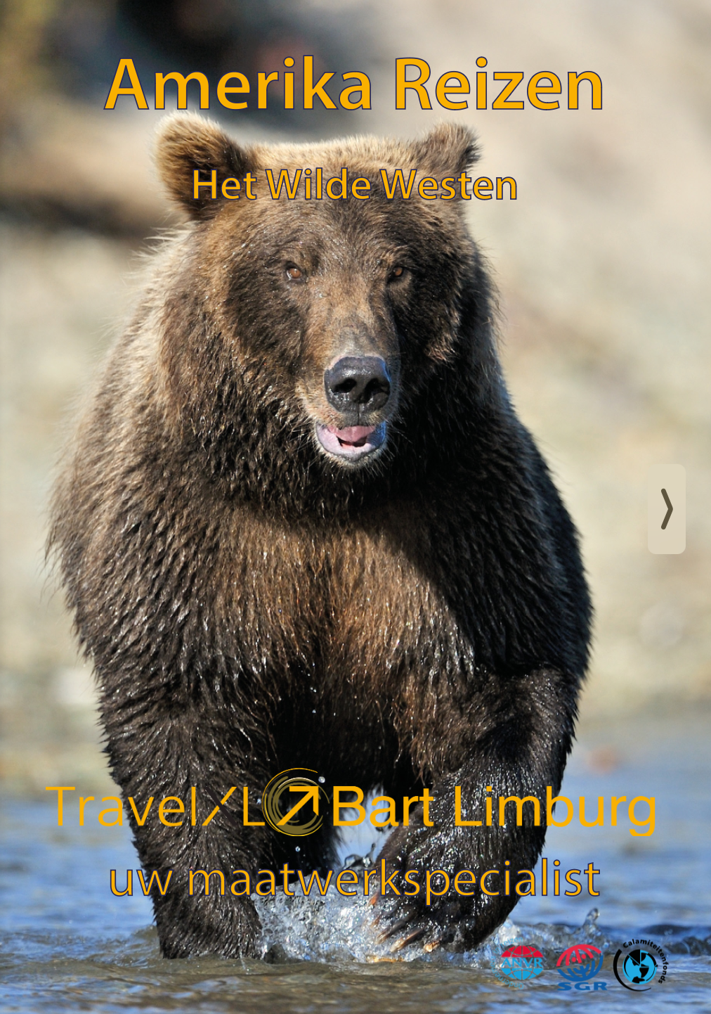 Bruine beer in het water; reclame voor een reis naar Amerika van Bart Limburg.
