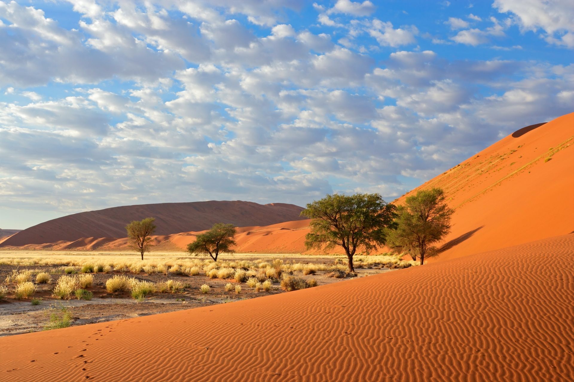 foto zuidduinen met Kalahari woestijn