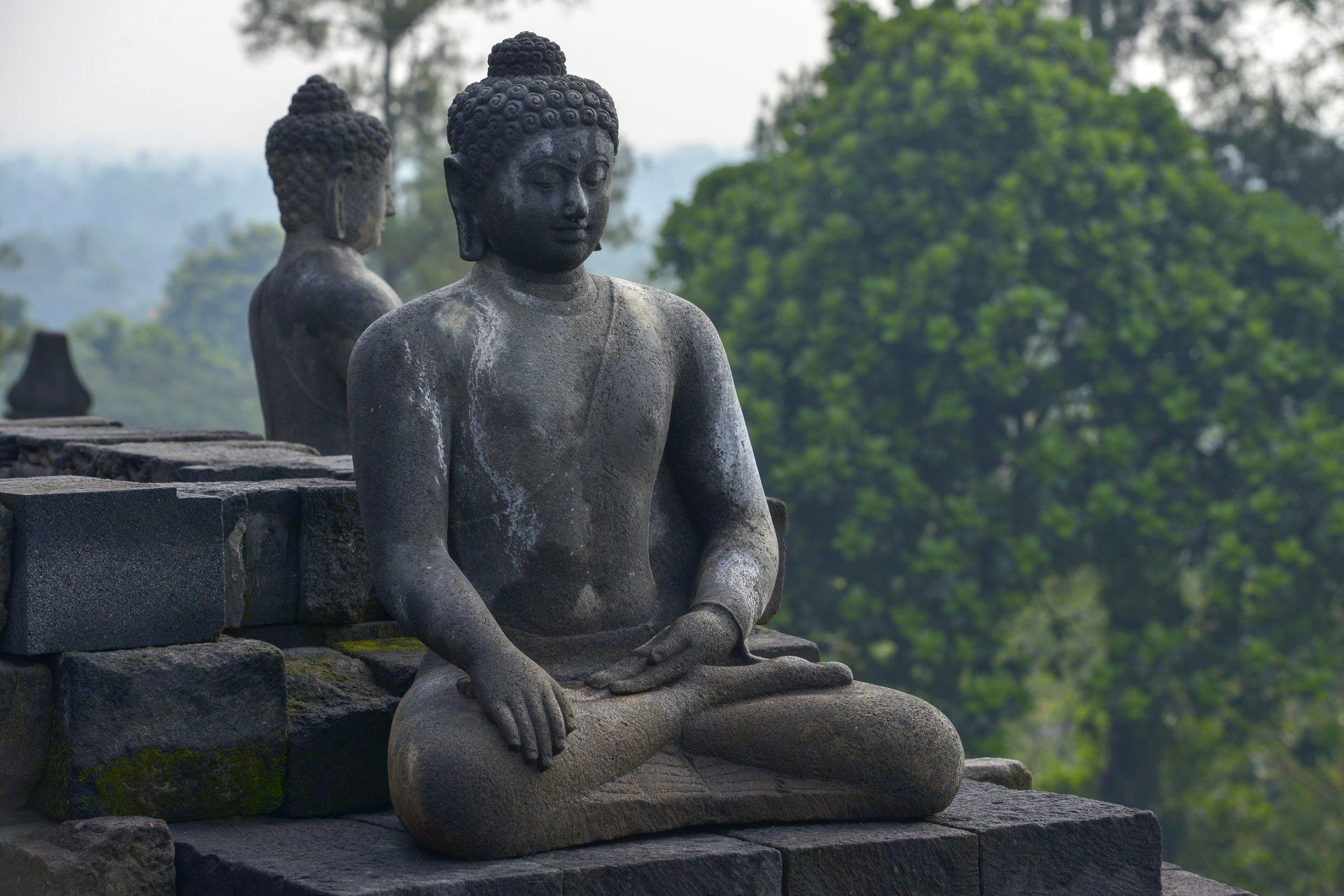 Stenen Boeddhabeeld in meditatiehouding, geplaatst op een tempel, omgeven door groene bomen.