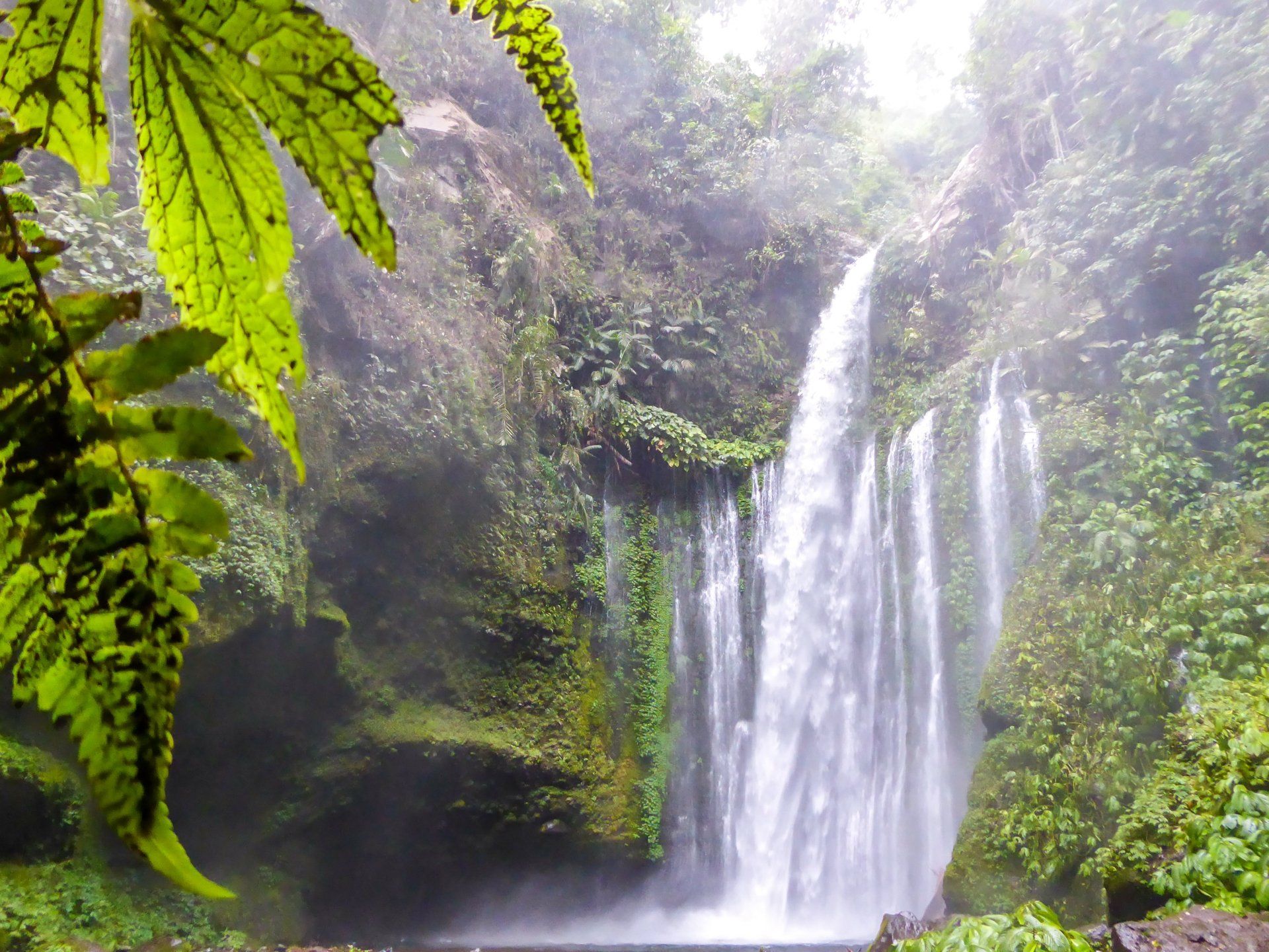 Een waterval die in een poel stort, omgeven door weelderig groen en een mistige atmosfeer.
