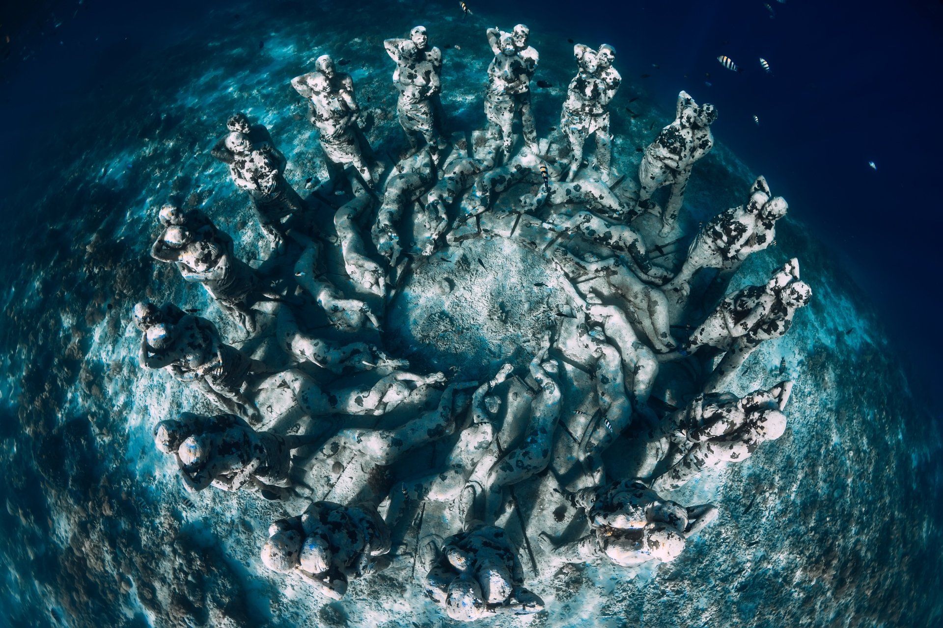 Onderwaterfoto van een spiraalvormig koraalrif in helderblauw water, met daarbovenop door de zon beschenen witte oppervlakken.