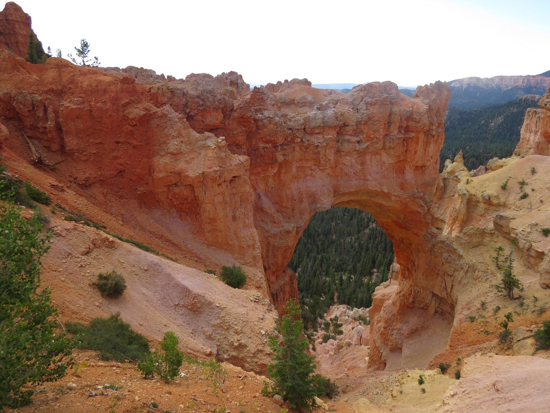 Een rode rotsboog over een kloof met groene bomen; Bryce Canyon National Park.