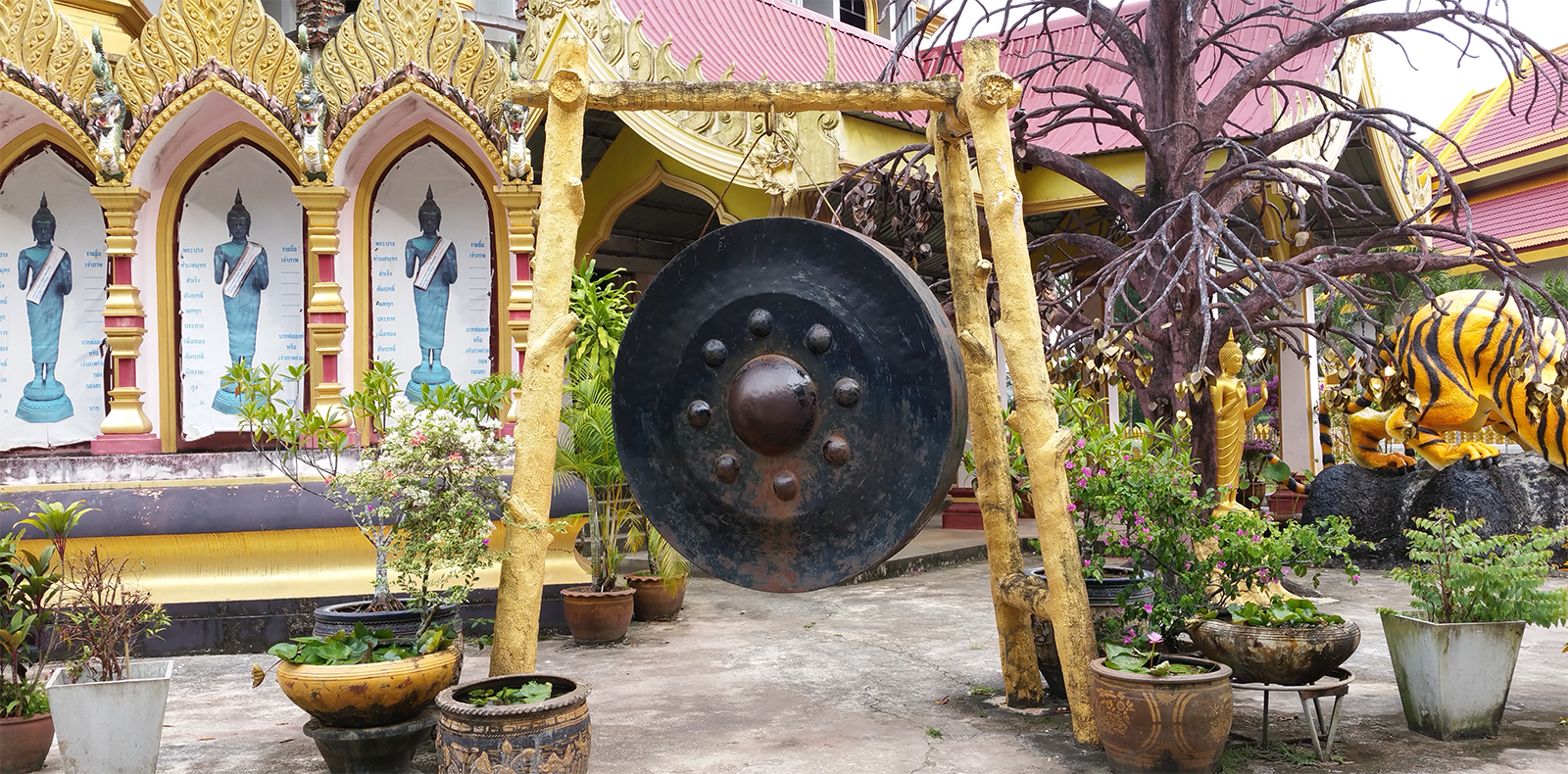 Een grote gong hangt voor een tempel, omringd door planten in potten.