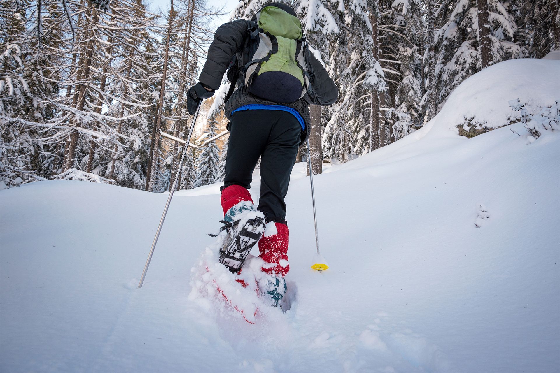 Een persoon die met sneeuwschoenen bergopwaarts door diepe sneeuw in een besneeuwd bos loopt.