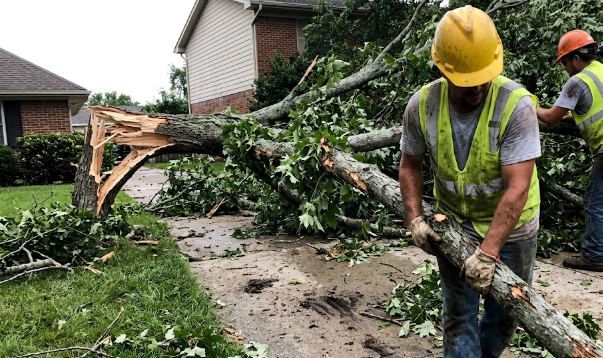 Emergency tree service crew cleaning up a fallen branch after a storm in Spokane.
