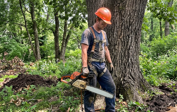 A professional tree removal worker wearing safety gear in Spokane WA.