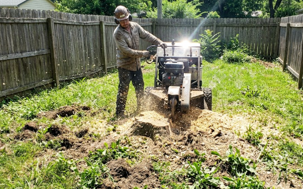Professional stump grinding service removing an old tree stump from a yard.