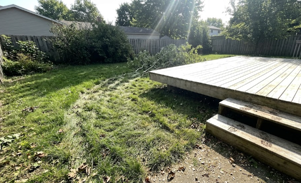A clean and beautiful backyard after a successful tree removal service.