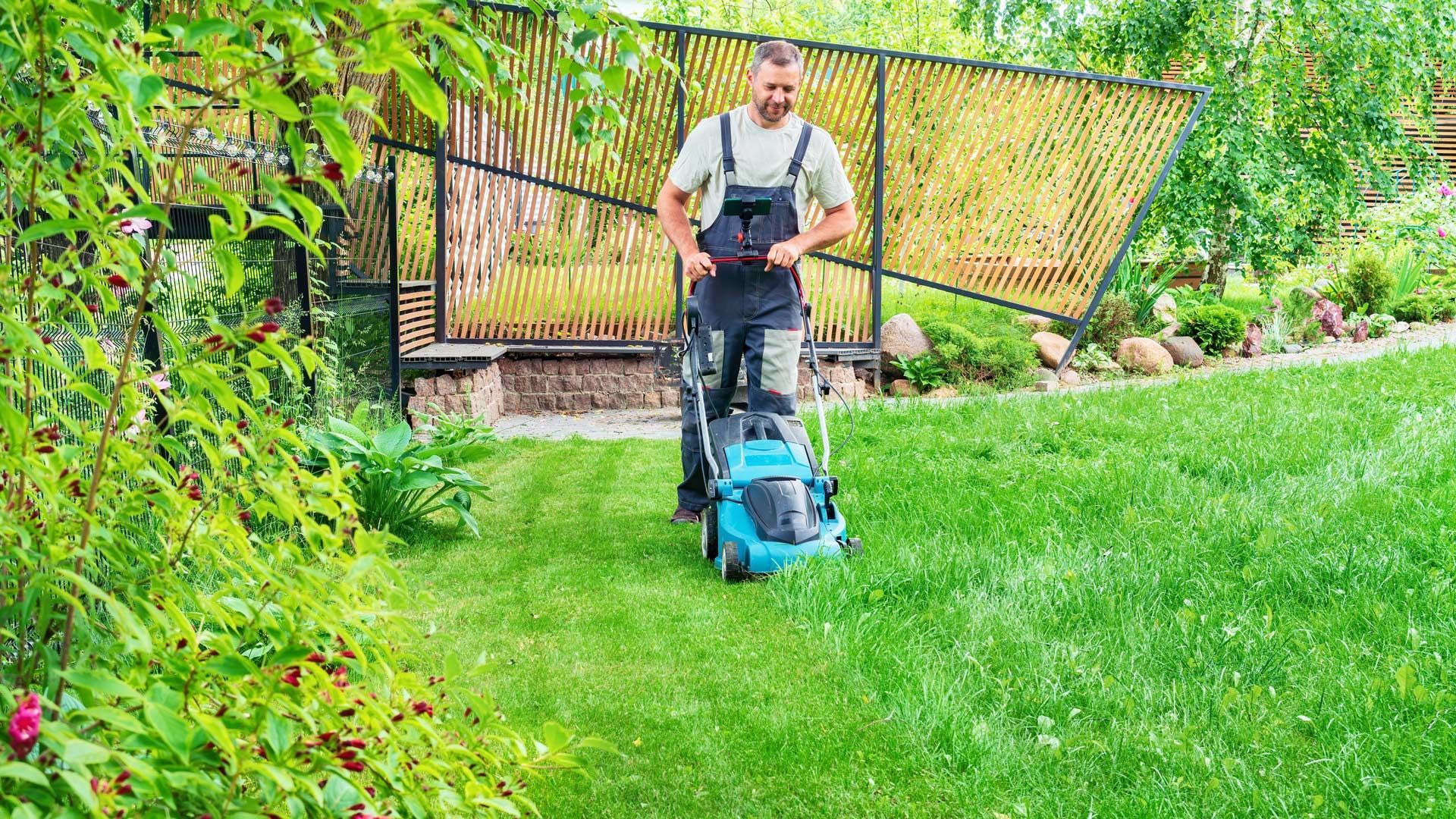 Lawn Care