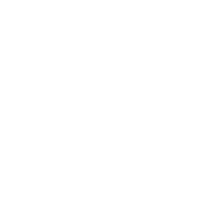 Blank white image