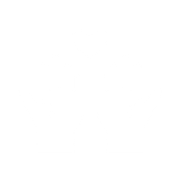 Blank white image.