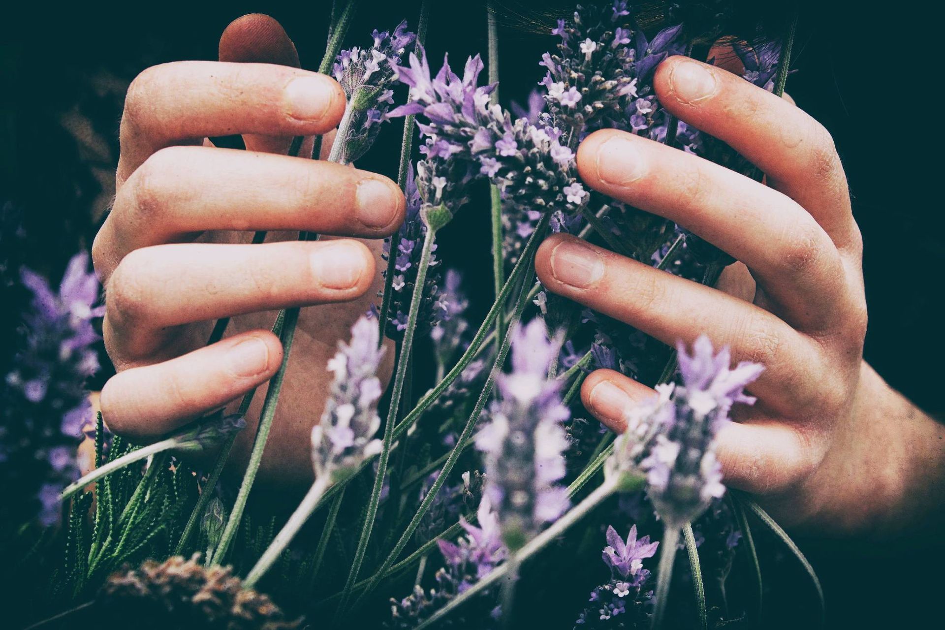 Essential-Oils-and-Aromatherapy-Benefits