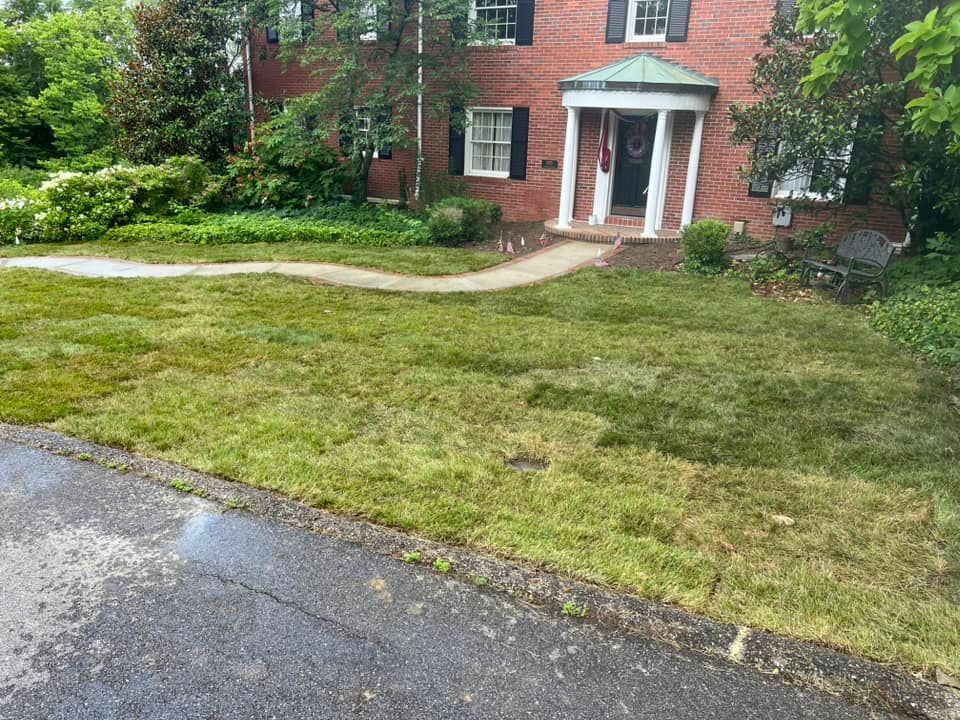 Lawn in front of a brick house with a curved walkway. The grass is patchy with some green areas.