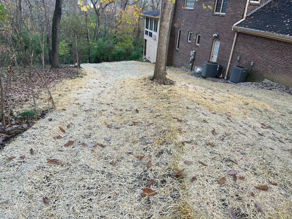 A yard covered in straw mulch near a brick house, a tree, and trees in the background.