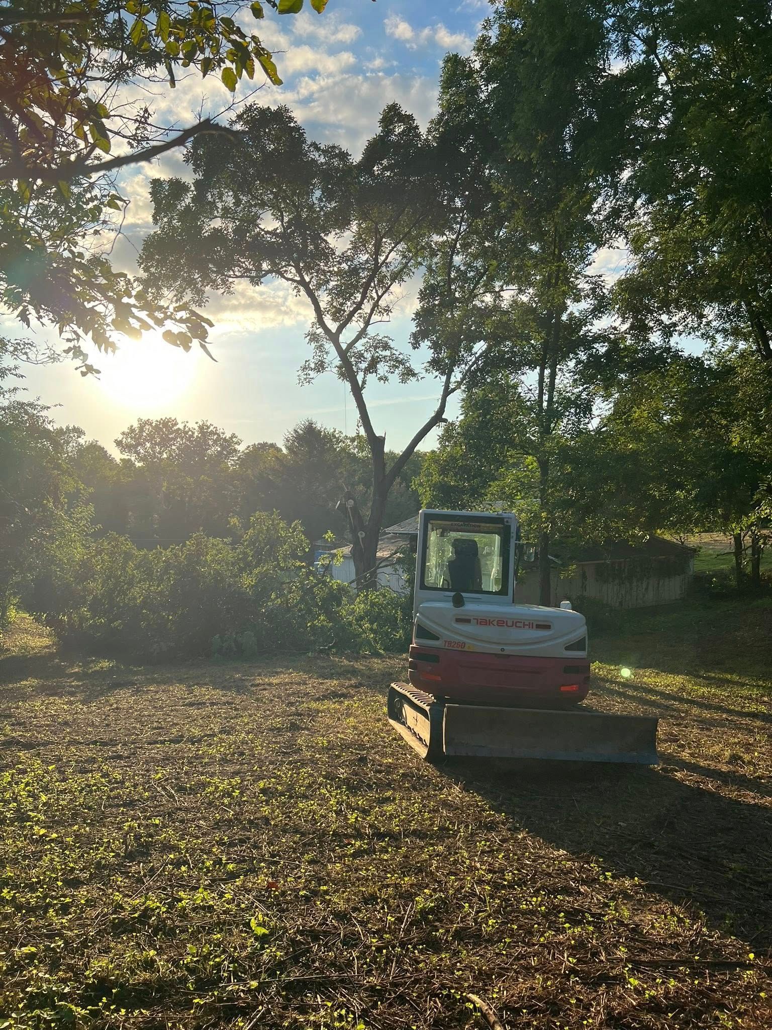 Mini excavator on a grassy lot, sunlight through trees.