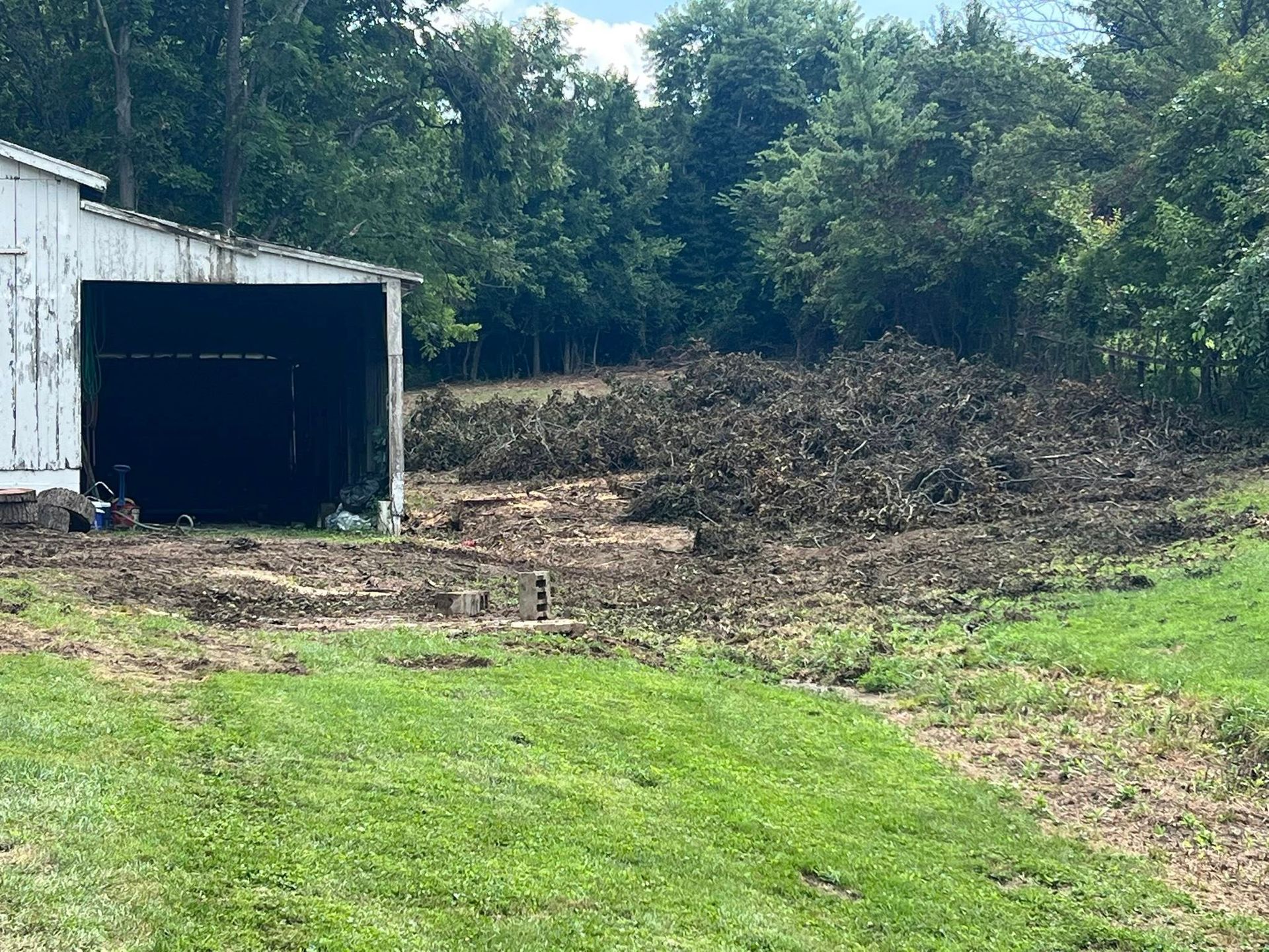 A cleared area with a shed, a pile of brush, and a grassy foreground. Trees in the background.