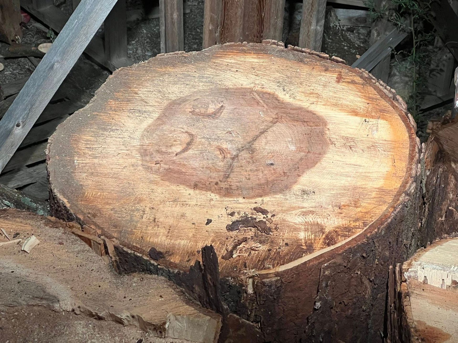 Cross-section of a tree trunk with visible rings, the center being a darker shade of reddish-brown.
