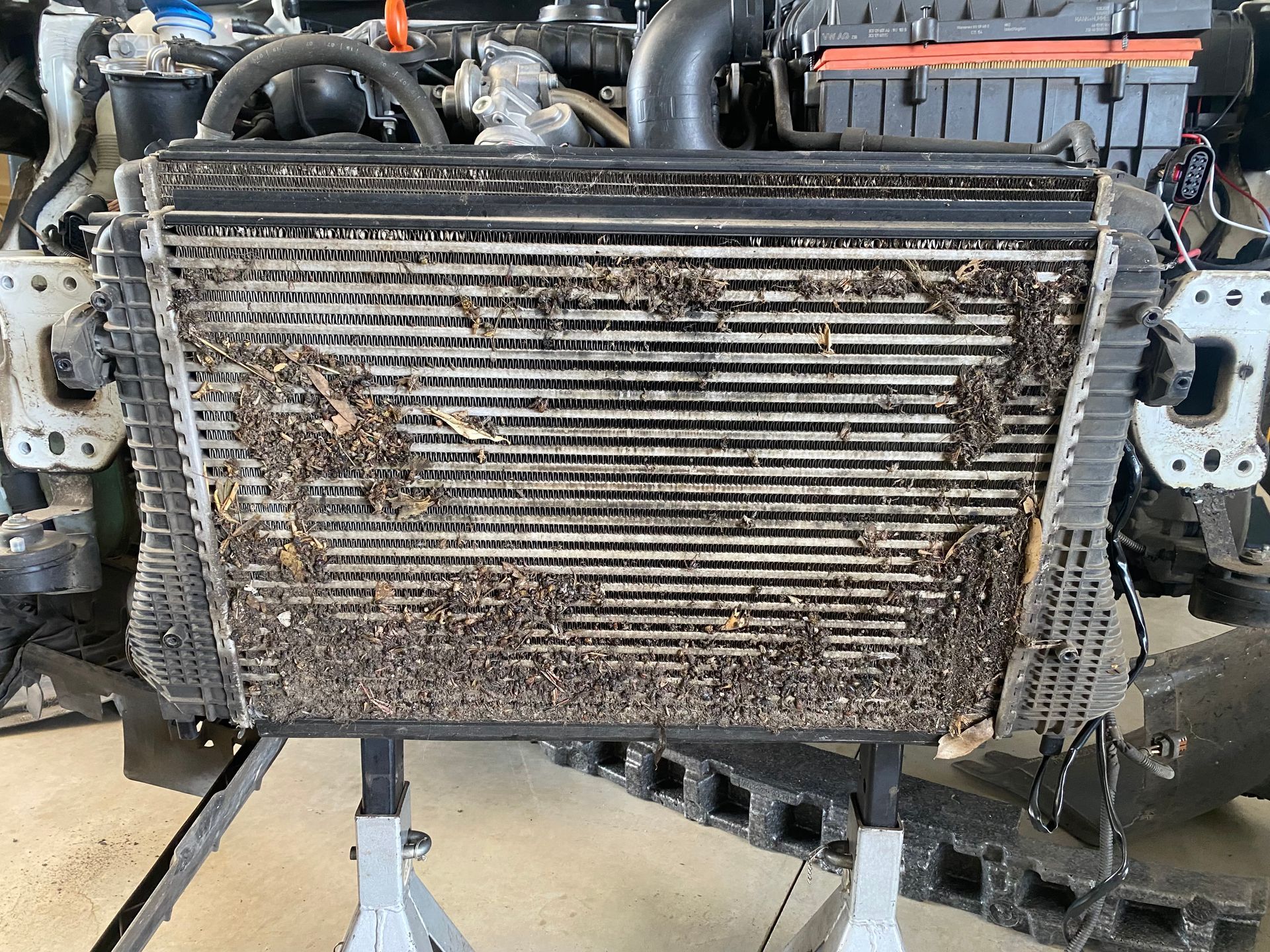 Car With the Hood Up is Being Serviced by a Mechanic — NG Mechanical Services in Thurgoona, NSW