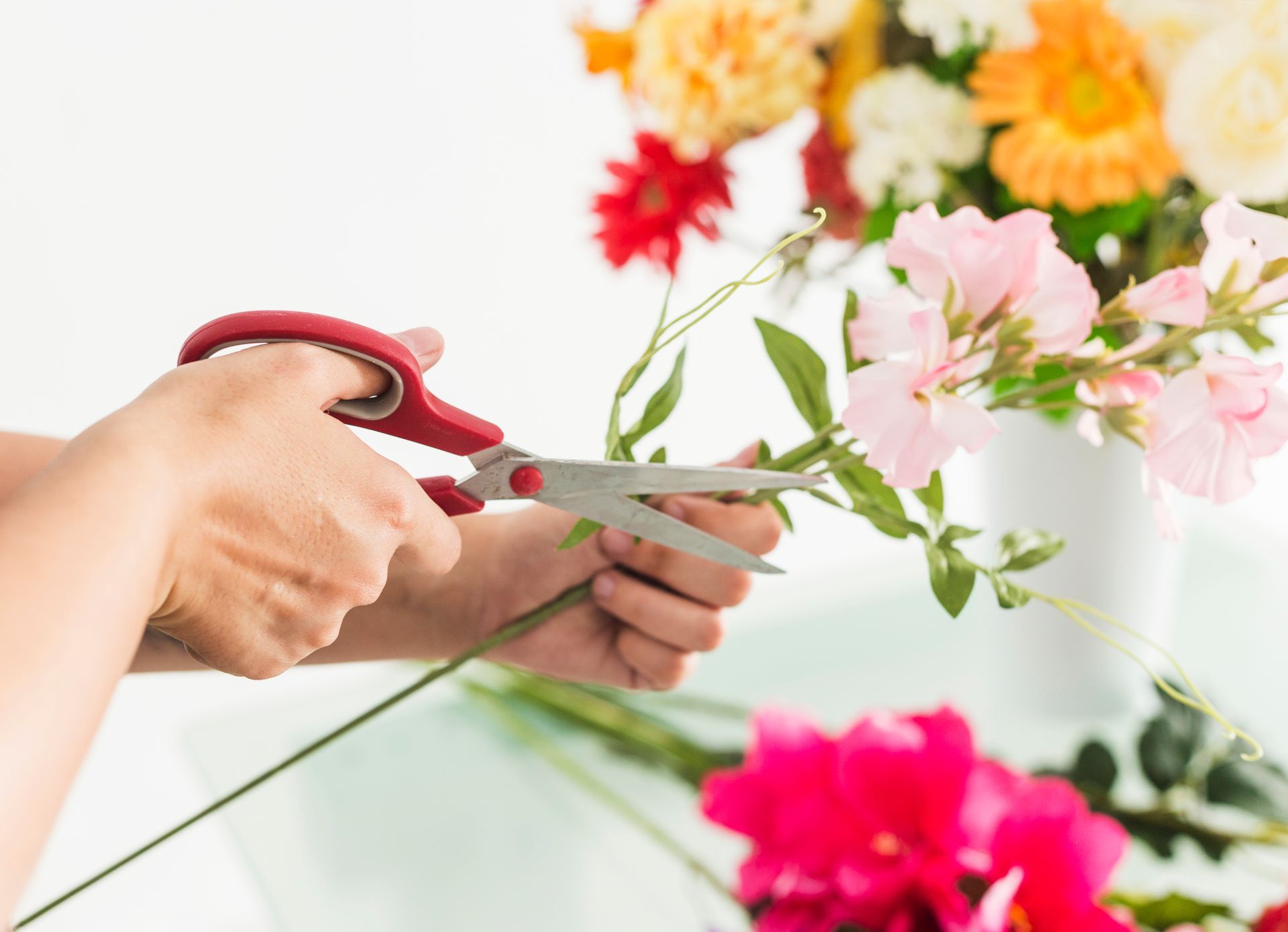 Hands using scissors to trim green stems among colorful flowers on a white table