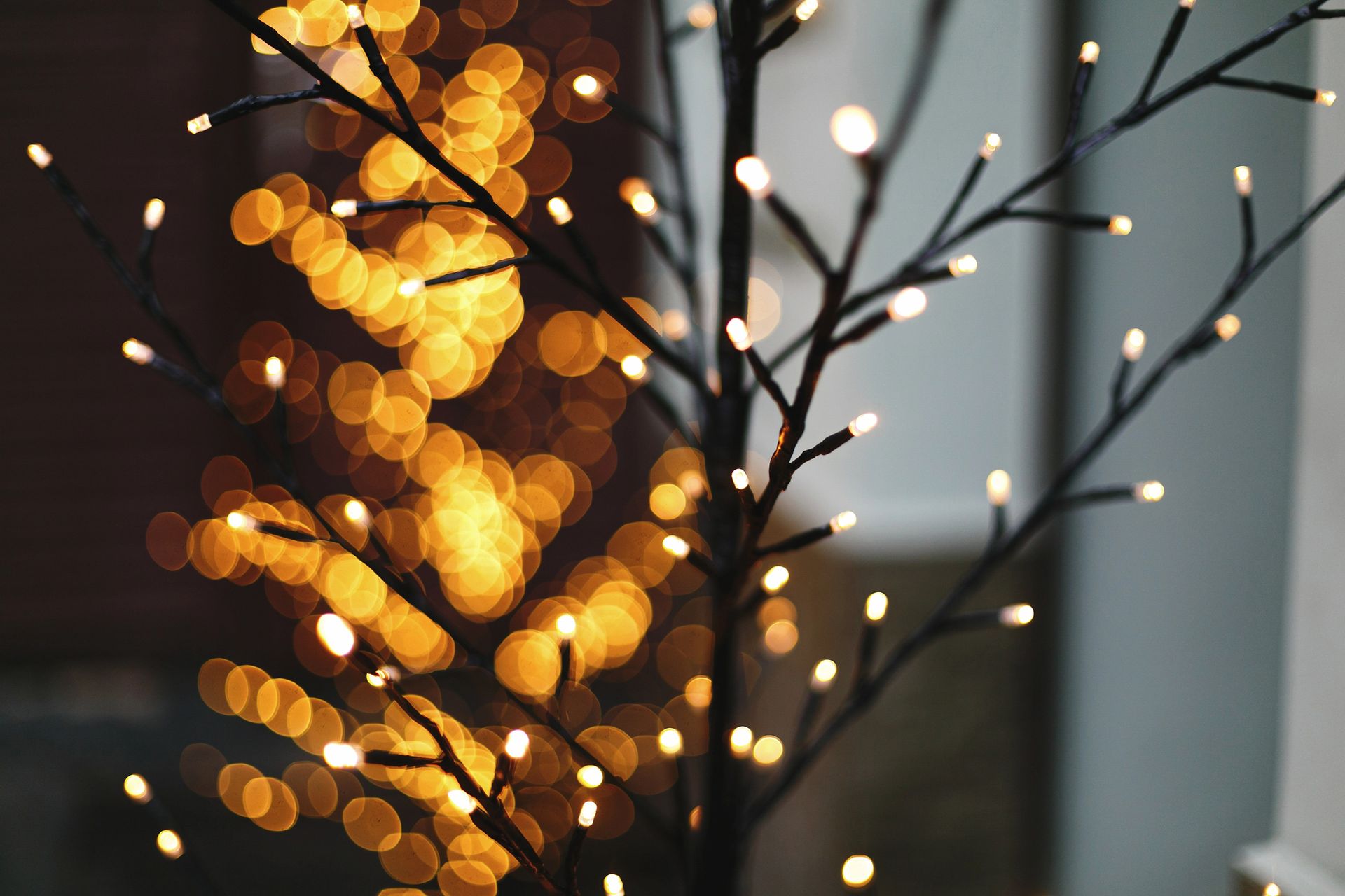 Black tree with tiny lights, against a blurred background of warm, golden bokeh.