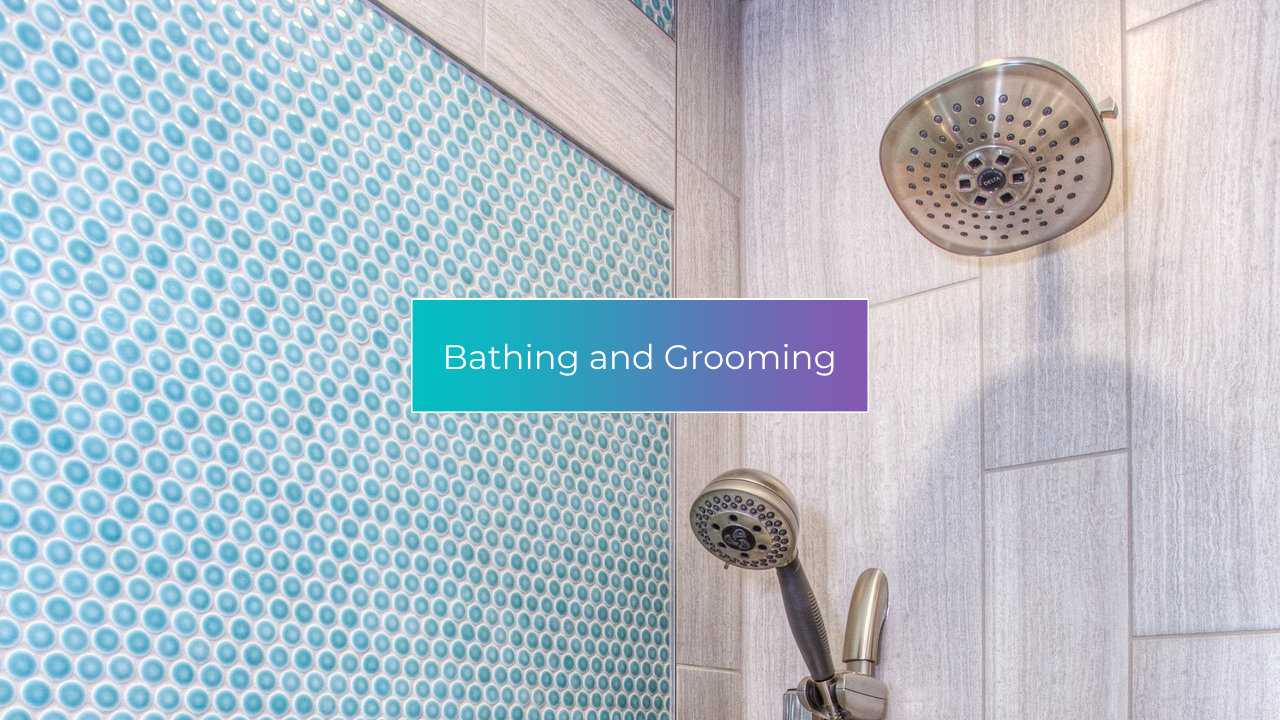 A bathroom with a shower head and a sign that says bathing and grooming.