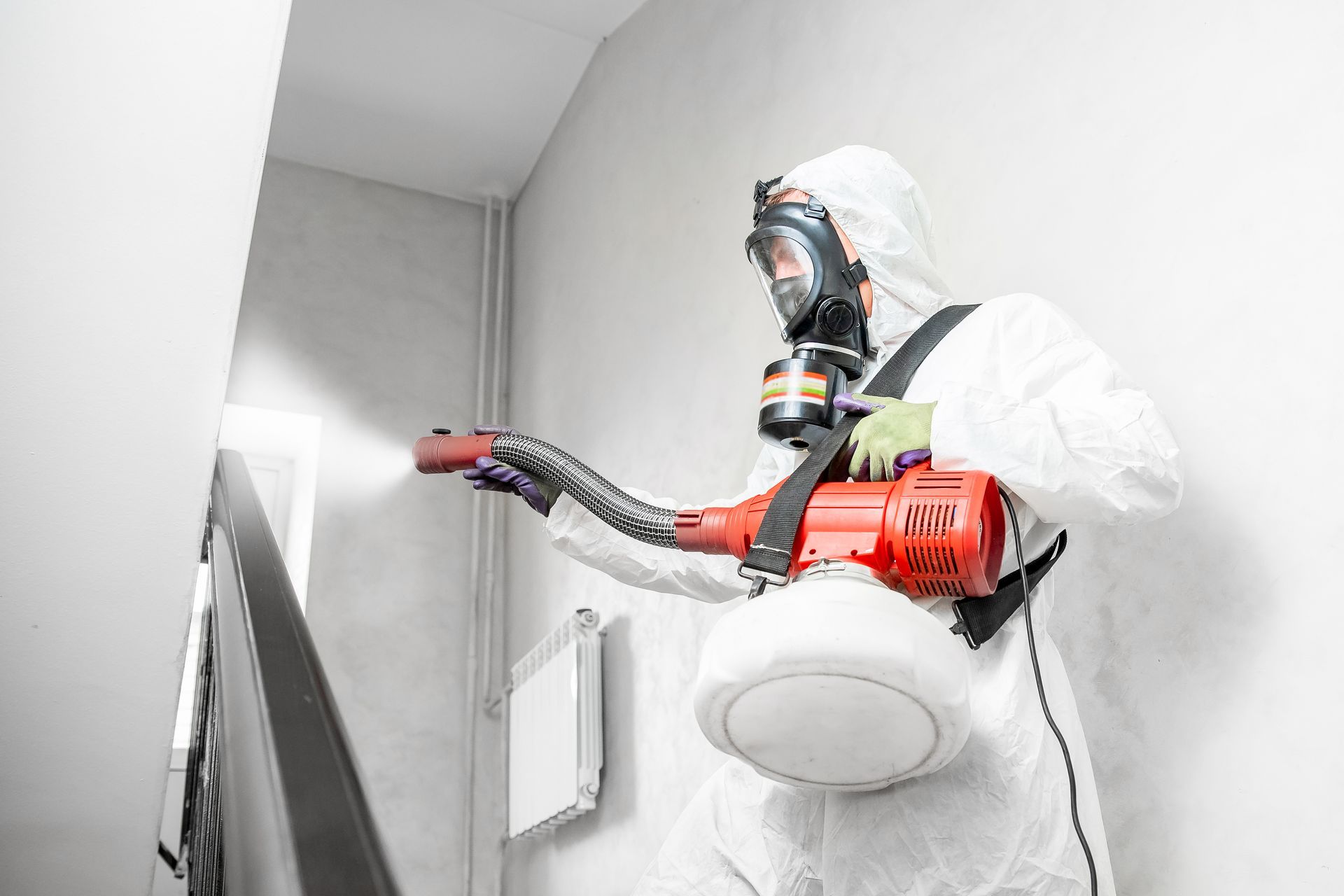 Disinfecting Services