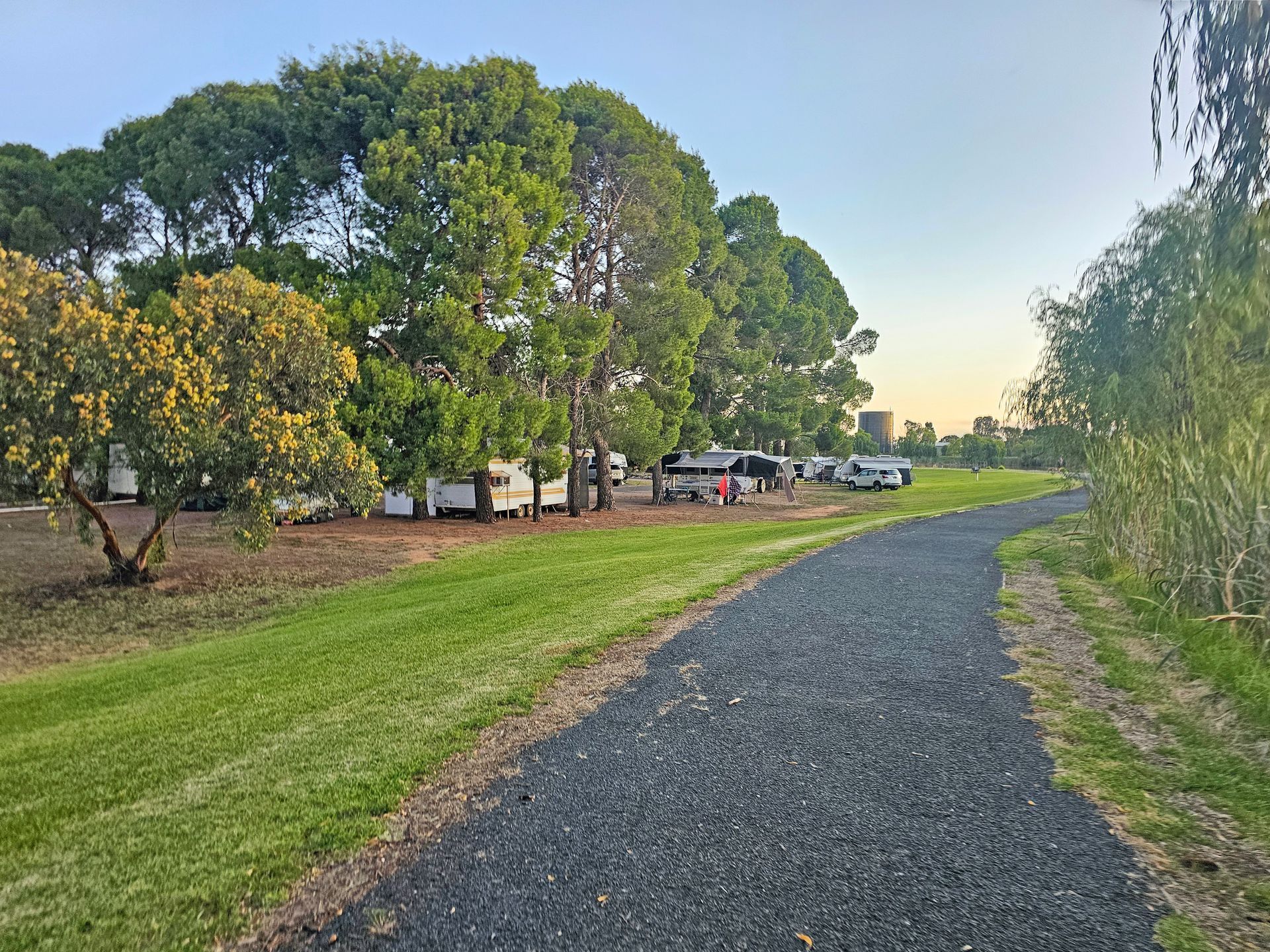 Gravel path through a green park with trees and parked cars at sunset