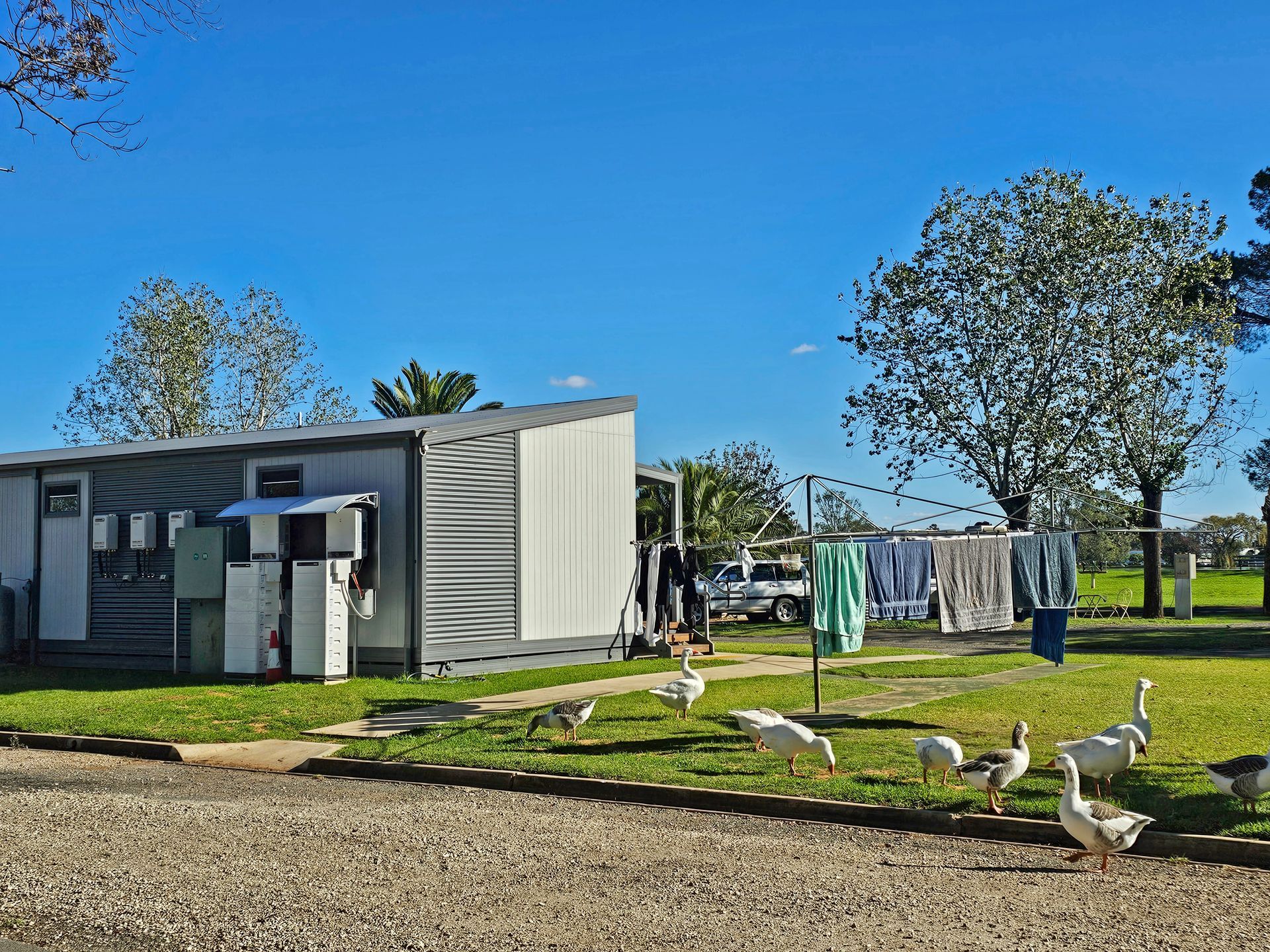 Modern building with laundry area beside a grassy field, with geese in the foreground under a blue sky