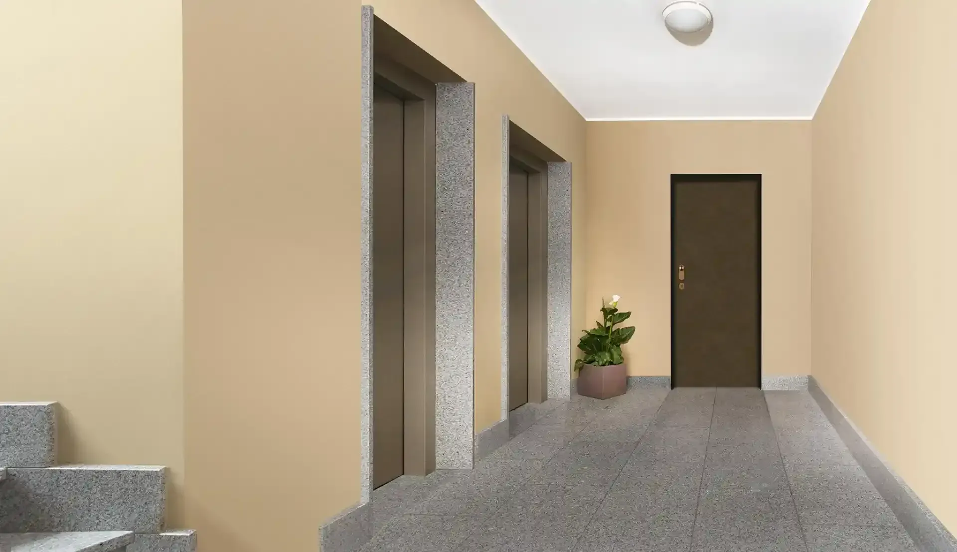 Corridoio interno di un appartamento con pareti beige, moquette grigia, gradini delle scale, pianta in vaso e una porta marrone in fondo.