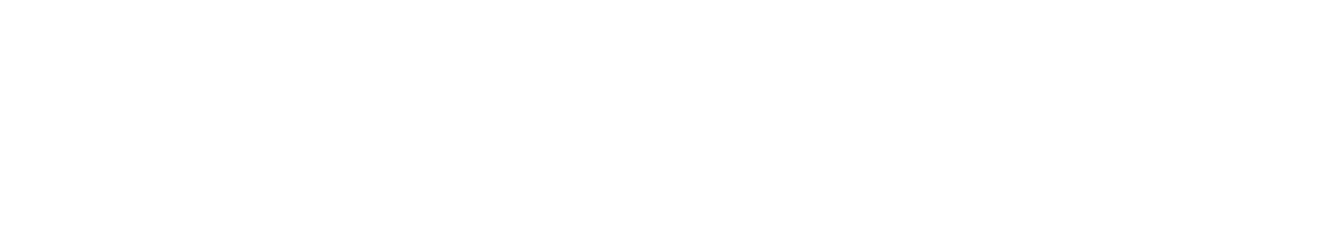 CyberUnlocked Official Logo Monochrome