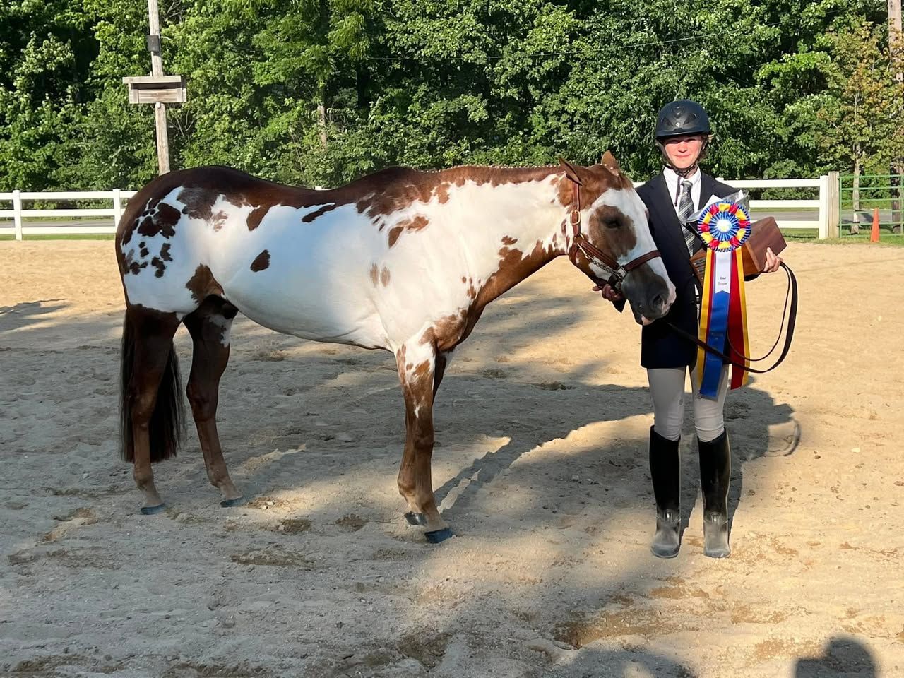 A person in riding attire stands with a brown and white pinto horse, holding a colorful award ribbon in an outdoor arena.