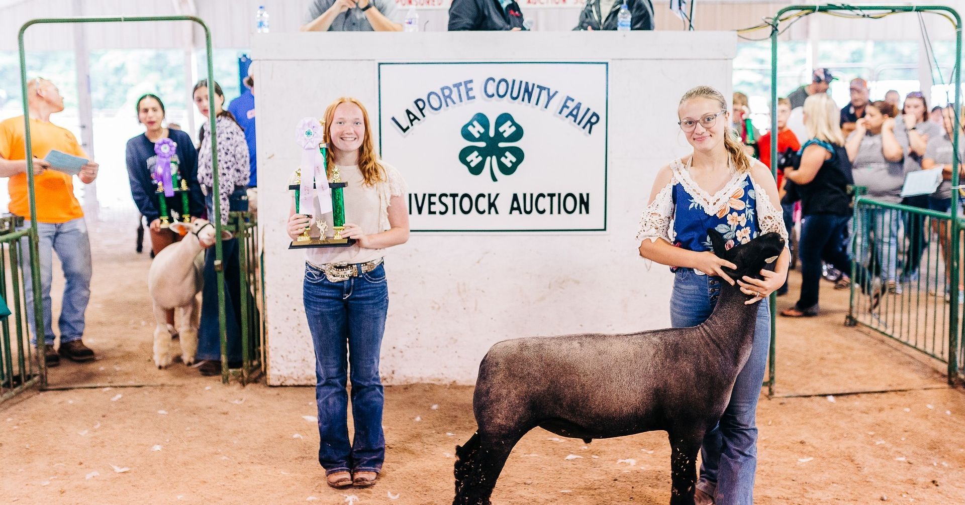 Two youth stand in a show ring at the LaPorte County Fair Livestock Auction with a black sheep and a trophy.