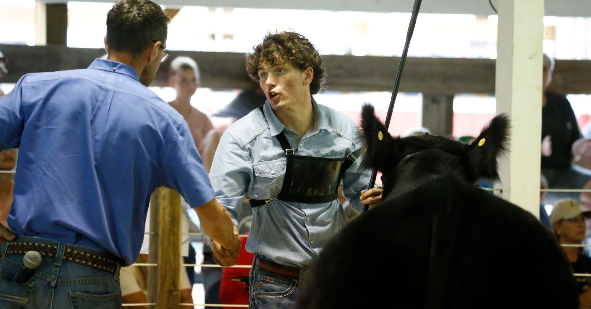 A person in a light blue shirt talks with a judge in a barn, while holding a lead rope attached to a black cow.