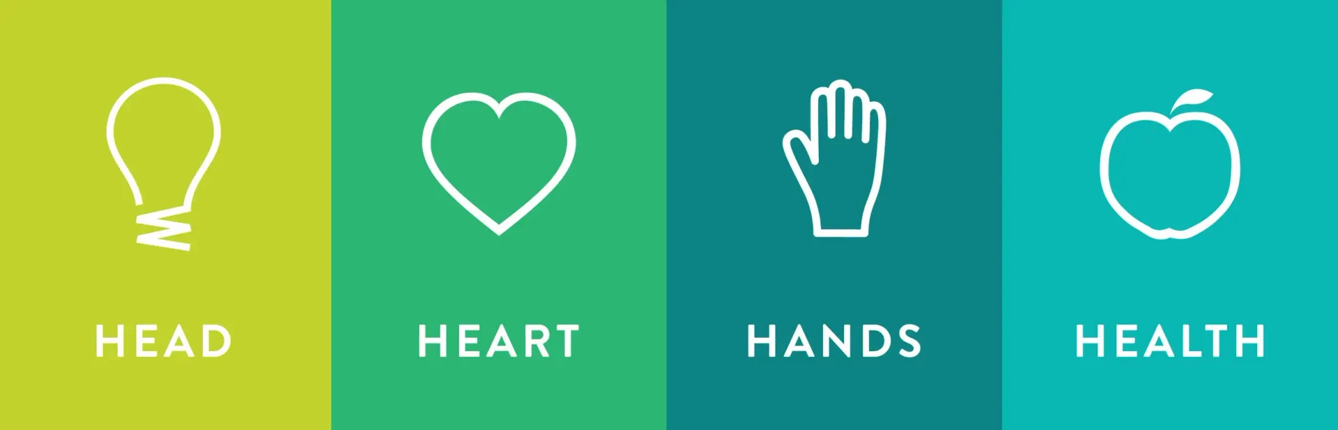Four vertical panels in gradient shades of green with white icons and labels: Head (lightbulb), Heart, Hands, and Health.